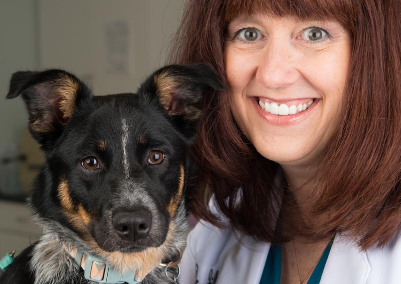 Carousel Slide 4: Dog Veterinary Care, Solomons MD