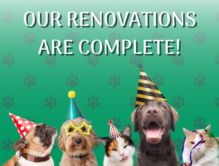 Our renovations are complete!