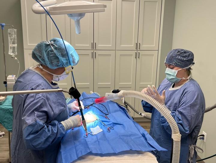 Advanced Soft Tissue Surgery